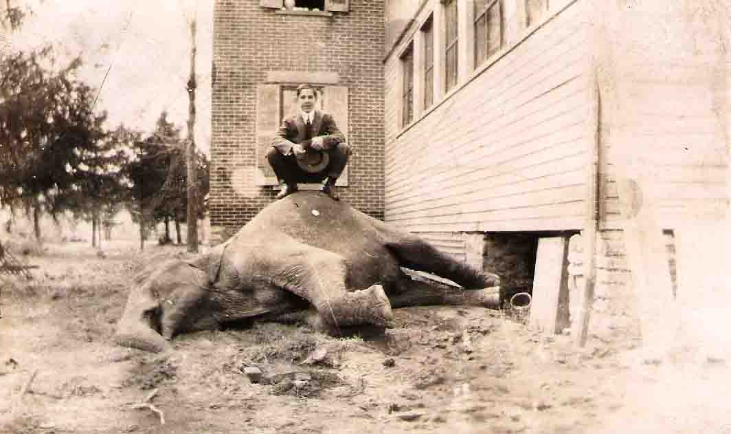 'Our National Calamity' The Great Easter 1913 Flood Tragedy at the Circus